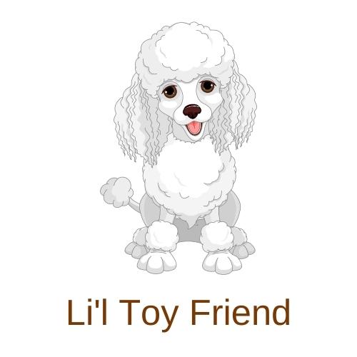 Li'l Toy Friend logo